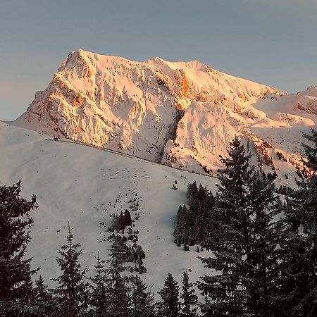 Appartement T2 Col De Merdassier Au Pied Des Pistes มานิโกด ภายนอก รูปภาพ