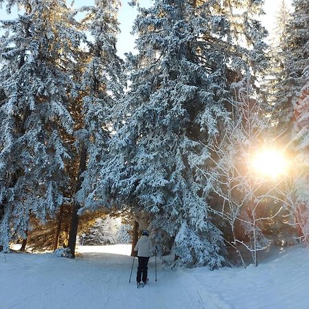Appartement T2 Col De Merdassier Au Pied Des Pistes มานิโกด ภายนอก รูปภาพ