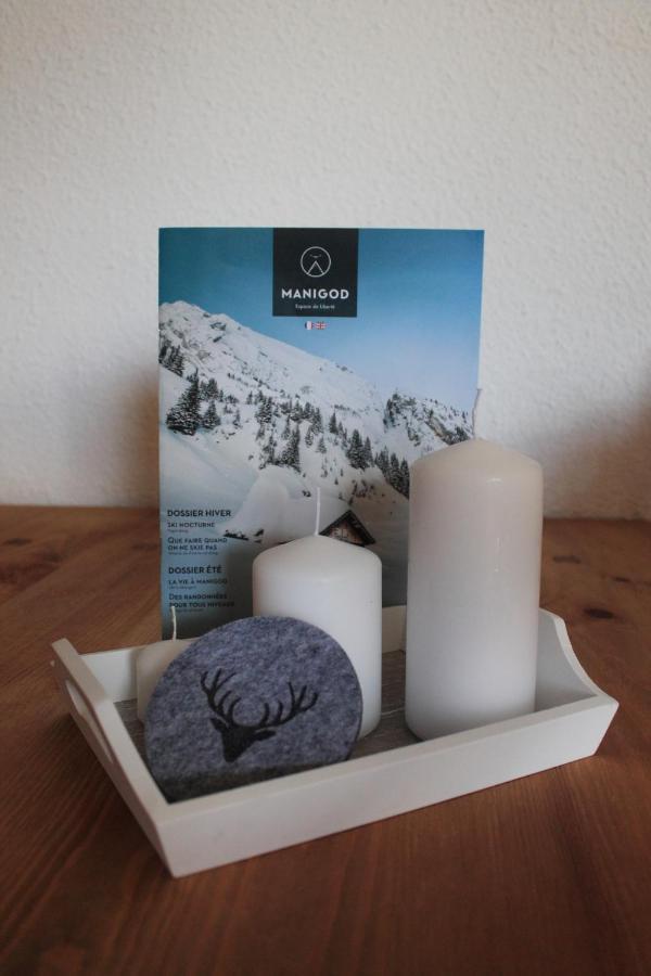 Appartement T2 Col De Merdassier Au Pied Des Pistes มานิโกด ภายนอก รูปภาพ