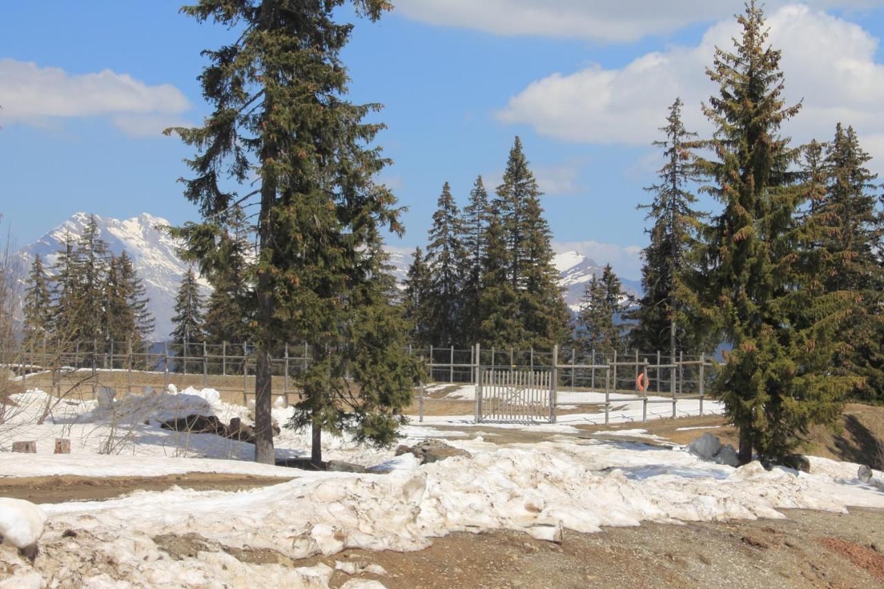 Appartement T2 Col De Merdassier Au Pied Des Pistes มานิโกด ภายนอก รูปภาพ