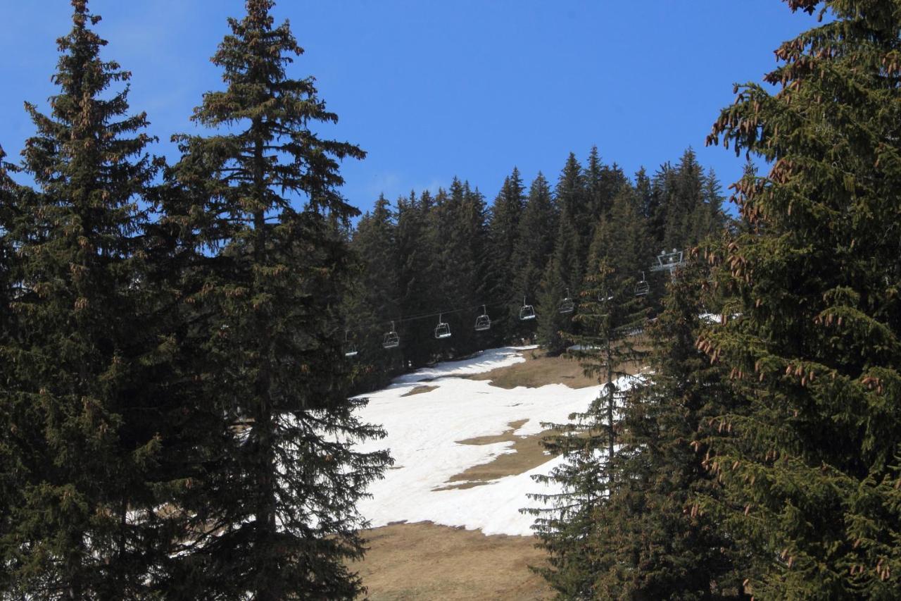 Appartement T2 Col De Merdassier Au Pied Des Pistes มานิโกด ภายนอก รูปภาพ
