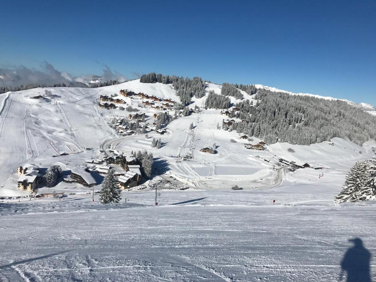Appartement T2 Col De Merdassier Au Pied Des Pistes มานิโกด ภายนอก รูปภาพ