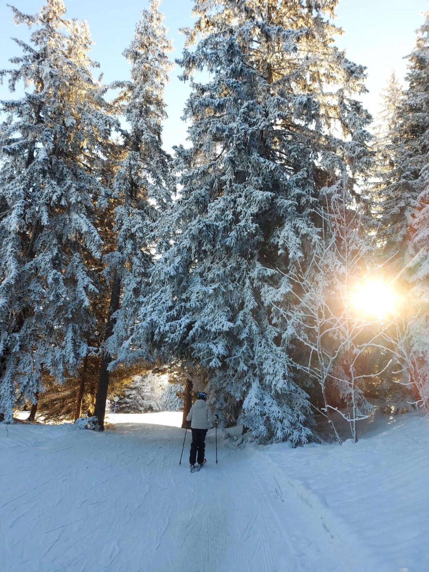 Appartement T2 Col De Merdassier Au Pied Des Pistes มานิโกด ภายนอก รูปภาพ